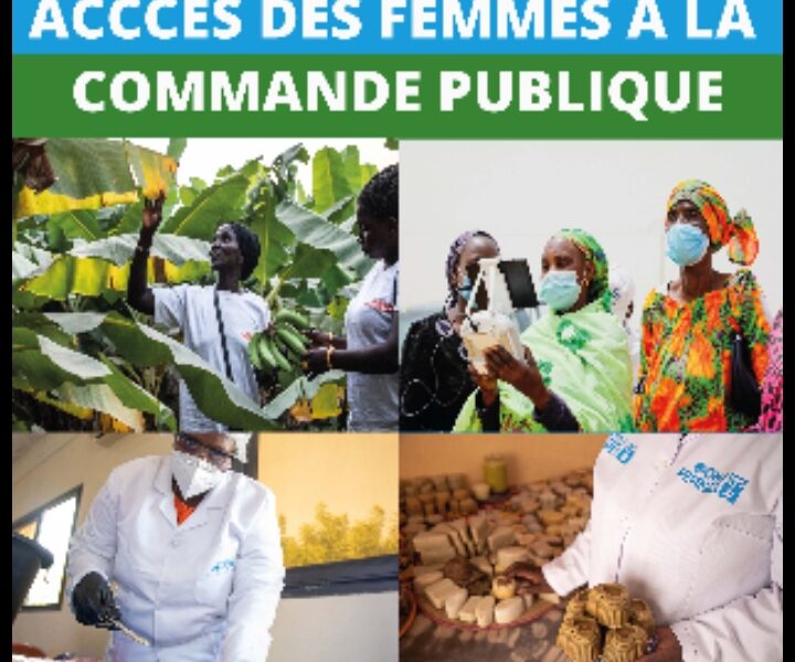 ACCES DES FEMMES A LA COMMANDE PUBLIQUE : LES        TENDANCES DU RAPPORT D’ENQUETE PROVISOIRE REALISE PAR LA DIRECTION GENERALE DE L’ARCOP 