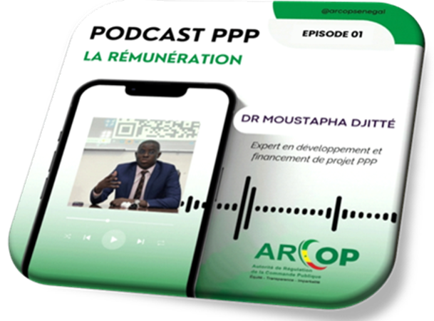 PODCAST PPP EPISODE 20 : Les collectivités territoriales pleinement associées à la dynamique d'investissement