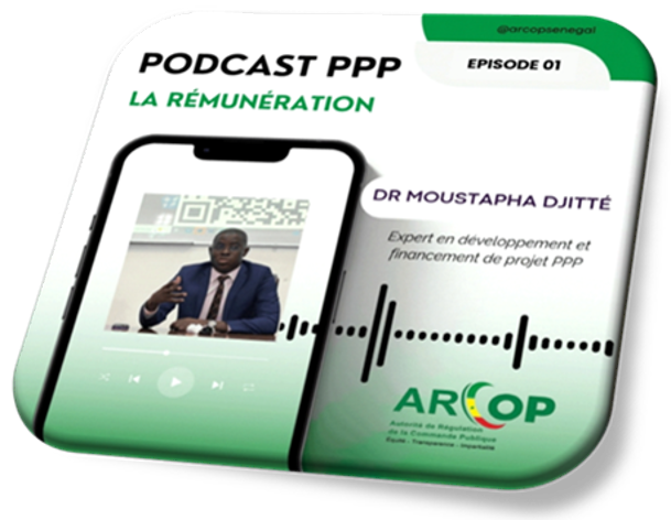 PODCAST PPP EPISODE 20 : Les collectivités territoriales pleinement associées à la dynamique d’investissement
